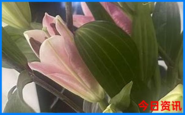 东莞带娃游玩好去处
